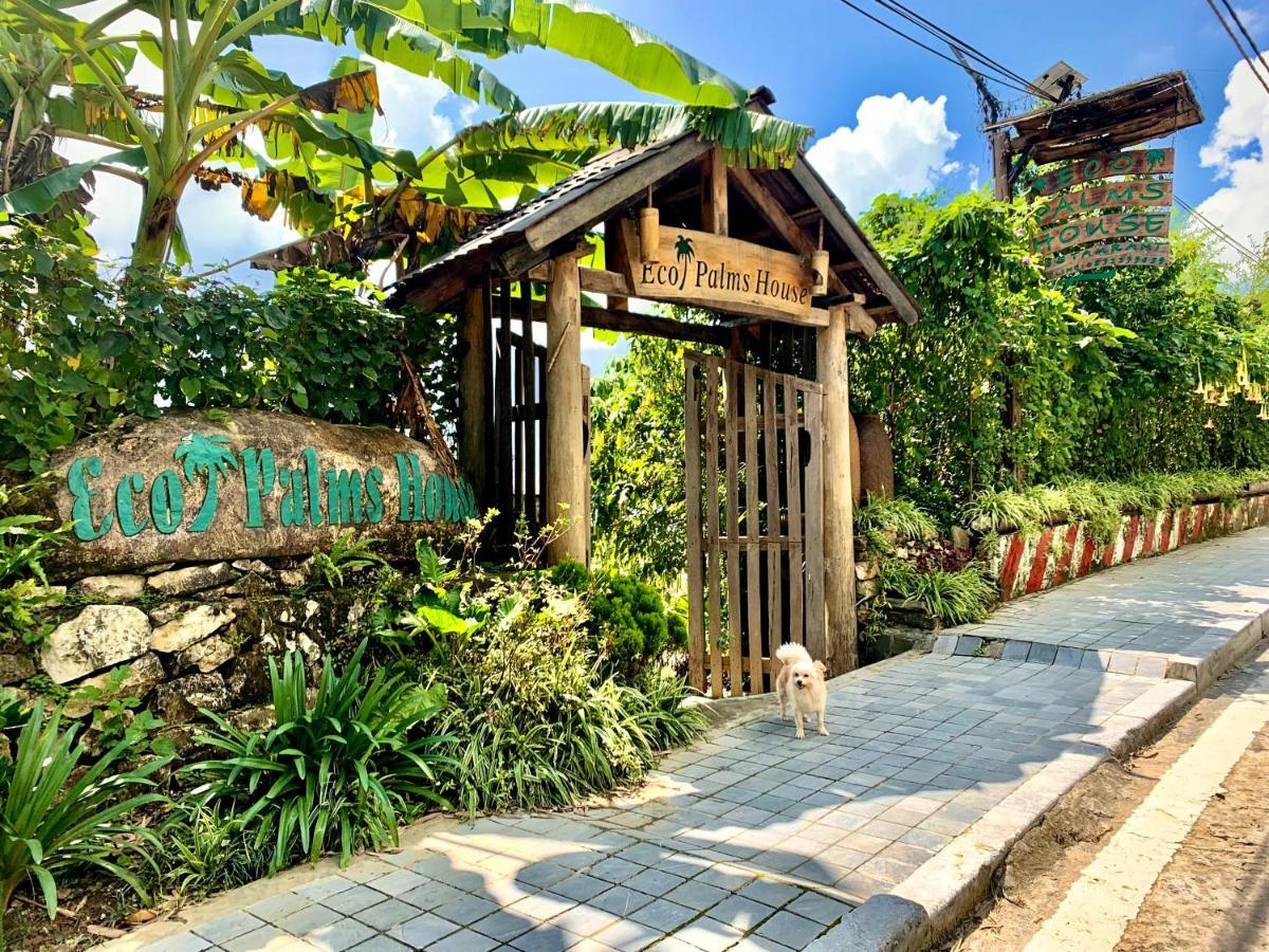 Курортный комплекс Eco Palms House - Retreat
