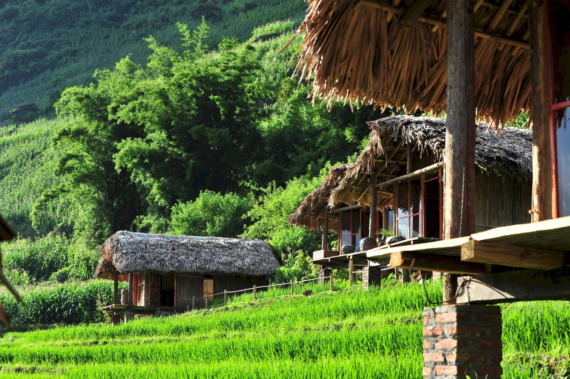 Eco Palms House - Retreat Шапа