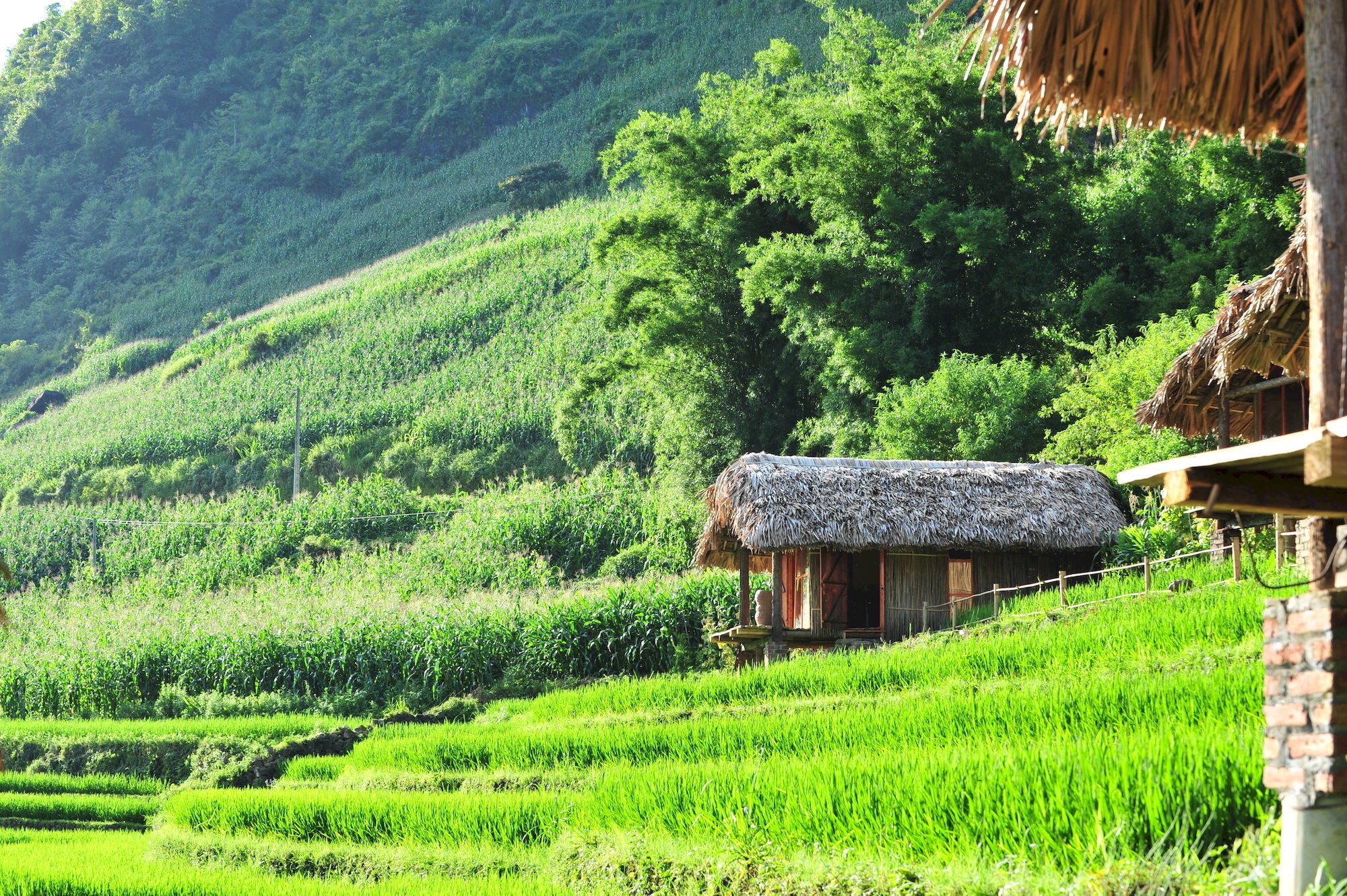 Курортный комплекс Eco Palms House - Retreat Шапа